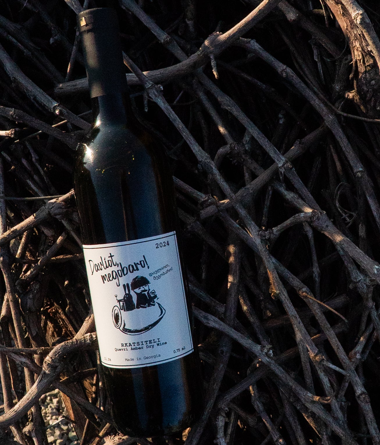 Rkatsiteli Qvevri amber dry wine "Davliot, Megobaro!" (2024)